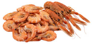 Krewetki
