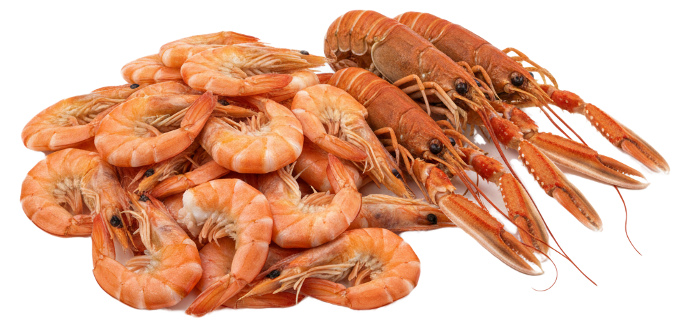 Креветки