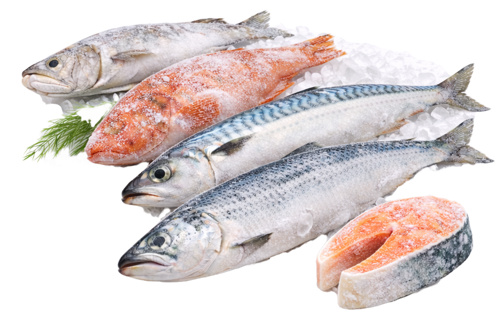 Заморожена риба