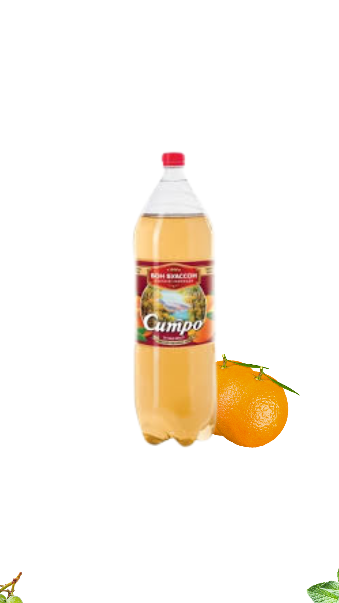 Napój gazowany Sitro Bon Boisson 2l