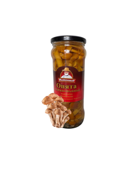 Мариновані опеньки Mushroomoff 530g
